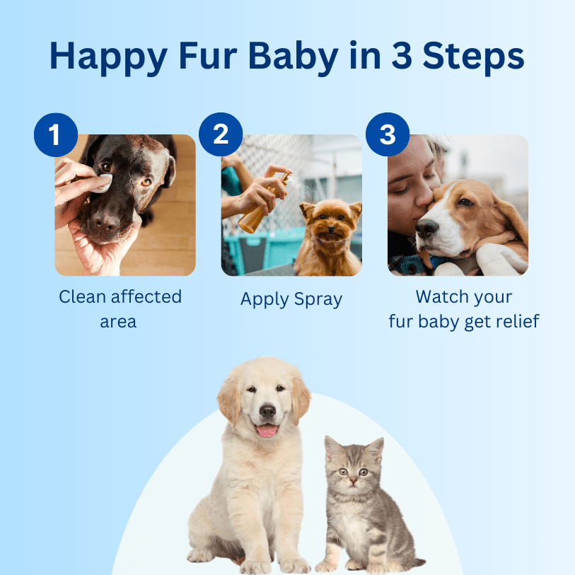 Vet formulated pet spray