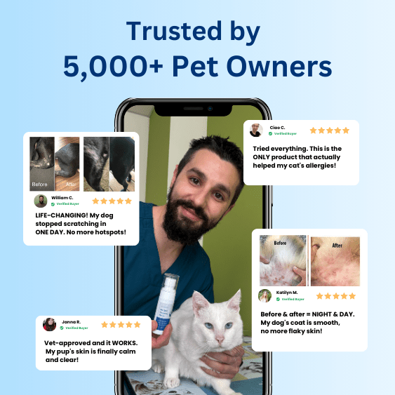Vet formulated pet spray