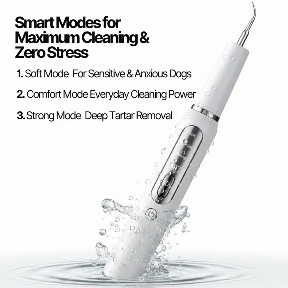 Ultradental Cleaning Kit