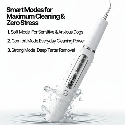 Ultradental Cleaning Kit