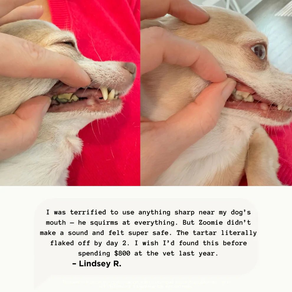 Ultradental Cleaning Kit